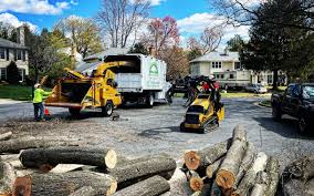 How Our Tree Care Process Works  in Bray, OK